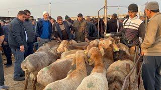 Shahidon qõy bozori bugungi narhlar bilan tanishing 22.10.2024yil