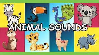 Animal Sounds Song Wild: Learn Animal Sounds for Kids | Nursery Rhymes for Toddlers