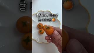 귤이 된 메추리알 #소풍도시락