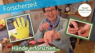 Was können Hände? | einfache Experimente | für Zuhause | für Kinder | Thema: Mein Körper