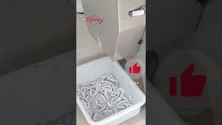 Coconut slices machine coconut chips #coconutchips