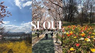 Seoul in Spring | Seoul vlog | cherry blossoms, seoul forest, seokchon lake | 봄의서울 | 벚꽃, 서울숲공원, 석촌호수