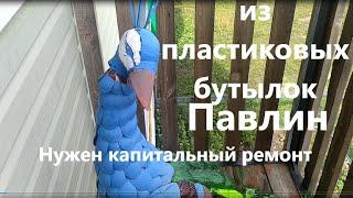 Павлин из пластиковых бутылок. Нужен капитальный ремонт.