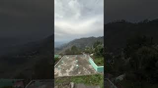 5 June 2025 Almora ,Papparsheli, Near Kasardevi #shorts #reels #Nature
