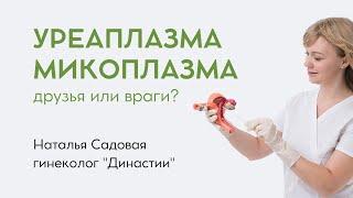 Уреаплазма и микоплазма – друг или враг?