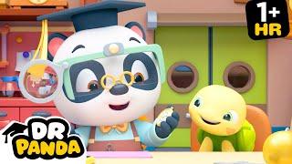 ⏰ Watchmaker Panda! | NEW COMPILATION | Dr. Panda