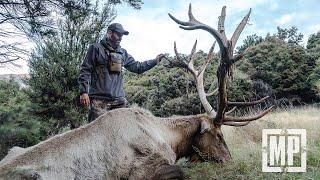 Hunting Wapiti in New Zealand | Mark V. Peterson Hunting