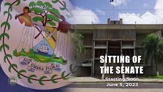 Sitting of the Senate | National Assembly of Belize | June 5, 2023