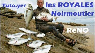 Tuto chasse sous marine Dorades Royales