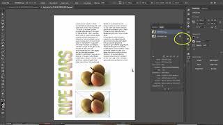 Placing Images in Illustrator (Embed or Link?)