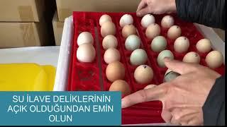 Kuluçka Makinesi Kurulum