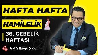 36 HAFTA GEBELİK (hafta hafta gebelik, gebeliğin 36.haftasında hem bebekte hem annede neler oluyor?)