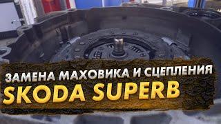 Skoda Superb сгорело сцепление люфты маховика