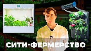 СИТИ-ФЕРМЕРСТВО