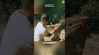 Can a chainsaw trigger a bullet? 