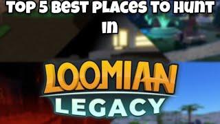 Top 5 Best Places To Hunt In Loomian Legacy