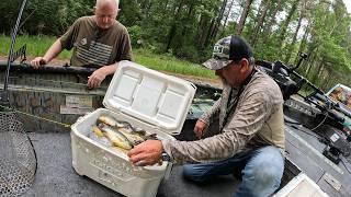 "Searching for Shellcracker Beds in the Carolina Swamps!  Ultimate Shellcracker Fishing Adventure!"