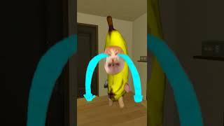 HELP Bananacat Get Ice cream #gmod 