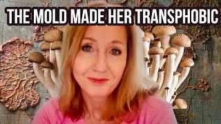 Did Black Mold Really Make J. K. Rowling Transphobic?