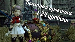 Гайд по быстрой прокачке 1-24 уровень Dragon Nest