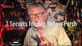 The Chesapeake Minute - 3 Secrets for Big Yellow Perch