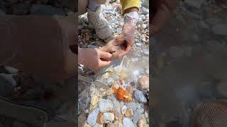 Sea Agate and Sea Crystal: Finding Hidden Treasures on the Shore and rare pearl