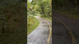 The sound of rain.#telugu #teluguvlogs #teluguvideos #usavlogs #rain #shorts #rainsounds