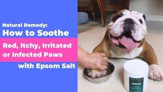 Natural Remedy: How to Soothe Red, Itchy, Irritated or Infected Paws with Epsom Salt