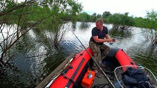 ЗАБРАЛИСЬ в КУСТЫ, а ТАМ?! ДИКИЕ МЕСТА и ДУРНАЯ РЫБАЛКА на СПАДЕ ВОДЫ!