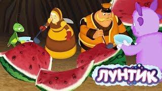 Лунтик | День арбуза  Сборник мультфильмов для детей