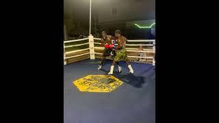 Punch go kill  #daringsidereports #ringsideboxing #boxingevent #ringside #boxingmatch #world