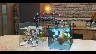 Voltaic cell | How does it work?
