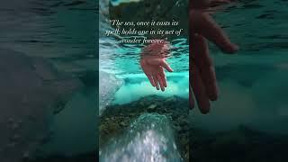The sea, once it casts its spell, holds one in its net of wonder forever.