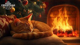 Top Christmas Songs of All Time (24/7)  Relaxing Christmas Music Ambience  Merry Christmas 2025