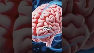 WHY DO WE YAWN ?#ytshort #yawn