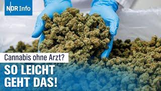 Medizinisches Cannabis bei Online-Apotheken: Zu leicht erhältlich? | NDR Info