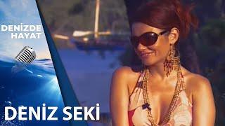 Deniz Seki'den Televizyon Programlarıyla İlgili Büyük İtiraf | Denizde Hayat