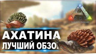 Ахатина (Achatina) в АРК. Лучший обзор: приручение и способности  улиток в ark