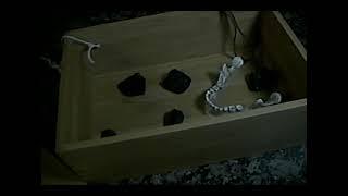 Today's Offer Is... A Box (01)