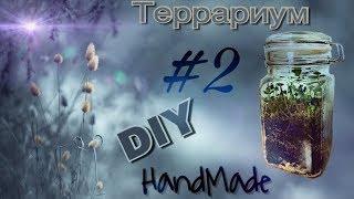 DIY / Как сделать ВЕЧНЫЙ ТЕРРАРИУМ