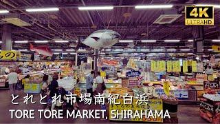 [ WAKAYAMA ] Japanese Fish Market walking tour ToreTore Ichiba Market  #wakayama #shirahama