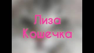 Интро Лиза Кошечка