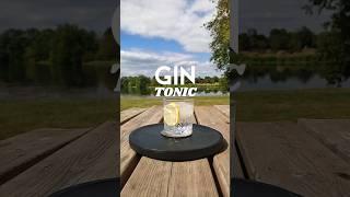 Gin & Tonic Cocktail | #cocktails #cocktailrecipe #mixology