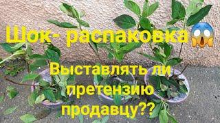 Шок -распаковка!Кто виноват?