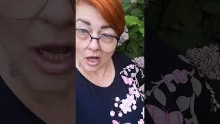 #белая черемуха