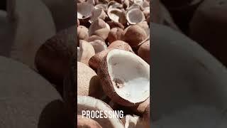 INTERCOCONUT INDONESIA (exporter from indonesia)