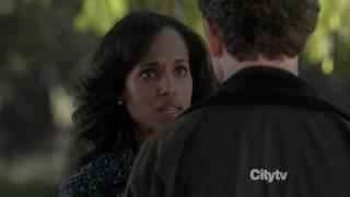 #Olitz #Treegate