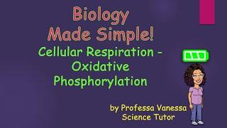 Biology Made Simple! Cellular Respiration - Oxidative Phosphorylation