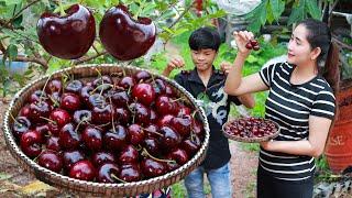 The sweet cherry cook chicken in homeland | Fresh cherry and food prepare for my boys