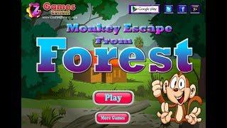 Monkey Escape From Forest walkthrough